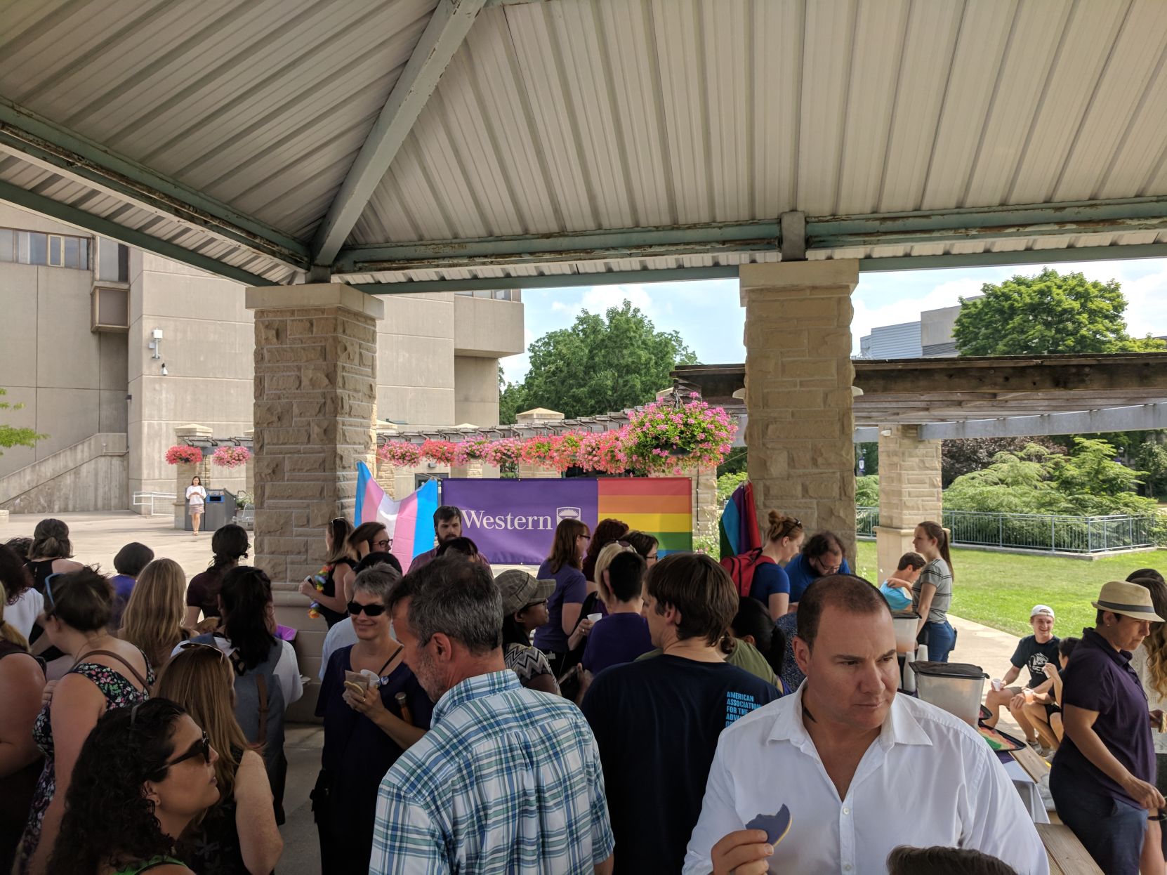 Out in the Sun (Photo 3, Crowd)